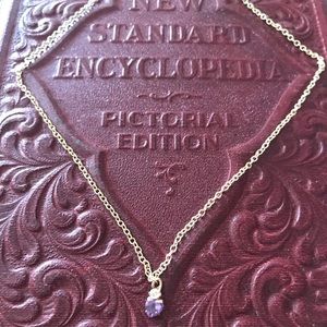 Two Stone Gold Toned Necklace